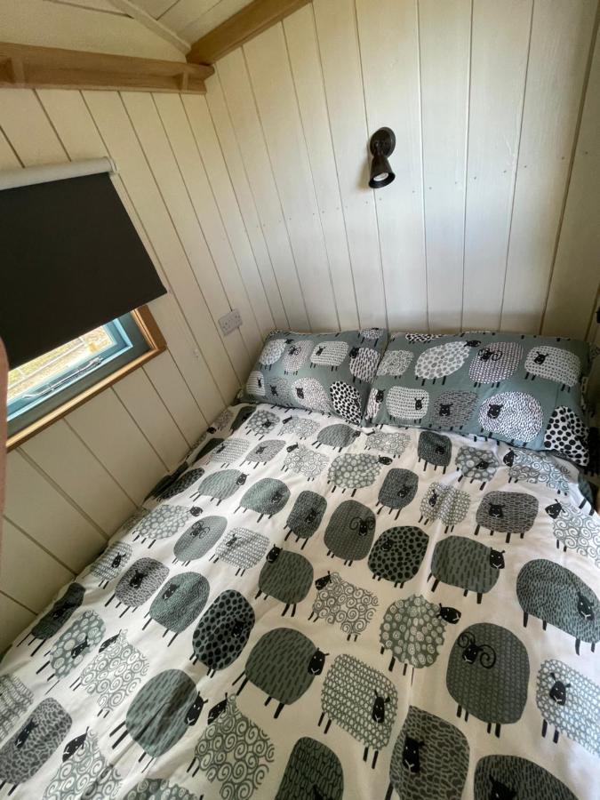 The Shepards Hut Apartman Llwyn-Dafydd Kültér fotó